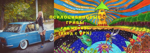 эйфоретик Алексеевка