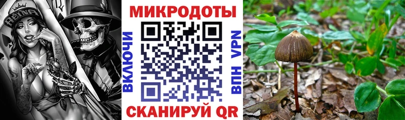 Галлюциногенные грибы мухоморы  darknet клад  Балашиха  купить  
